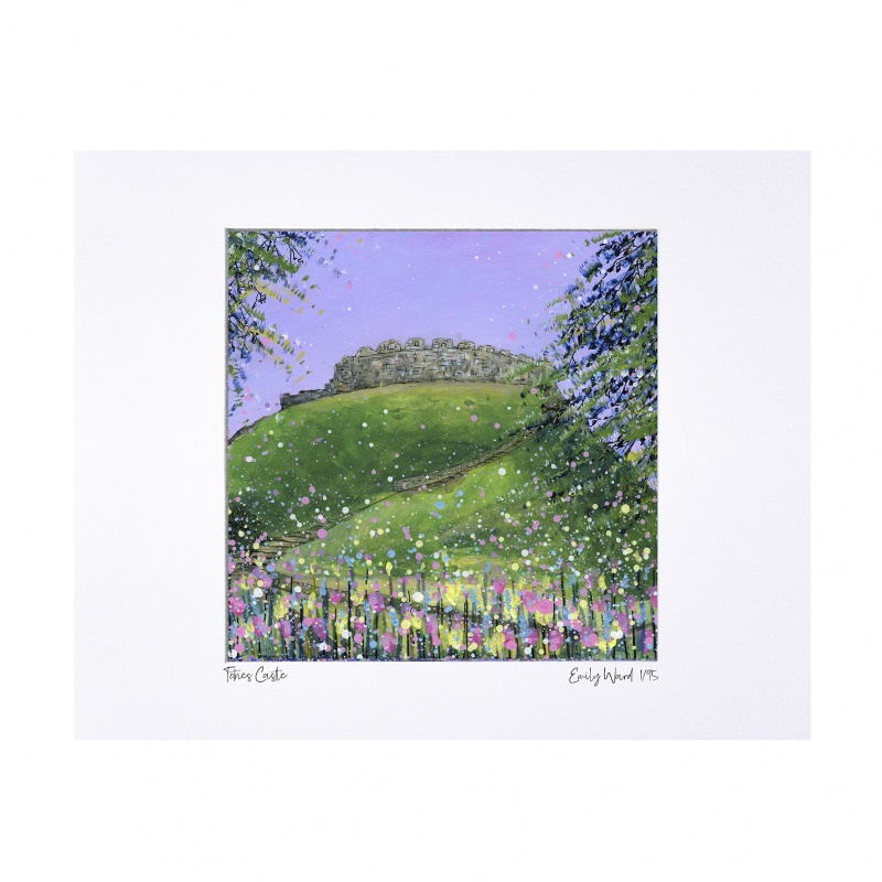 Totnes Castle Limited Edition Print with Mount